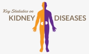 Alarming Global Figures Of Kidney Failure - Statistics Of Dialysis Singapore