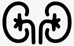 Kidney Comments - Kidney Icon Png