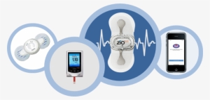 The Chronic Renal Insufficiency Cohort Study Targets - Chronic Kidney Disease