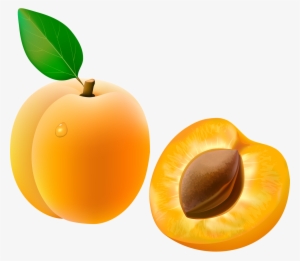 Italian Clipart European Food - Apricot Peach Clip Art