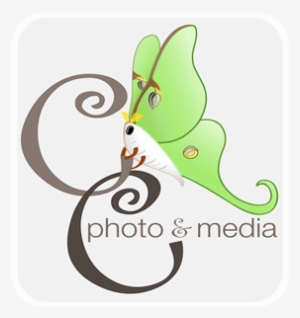 Logo-alone - Cartoon