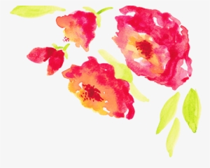 Header Flowers Bright - Rose