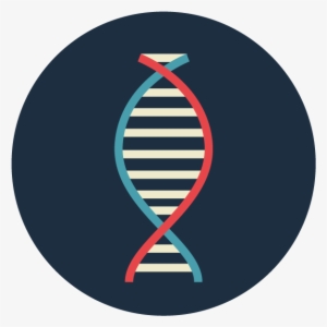 Kim Dna Icon-01
