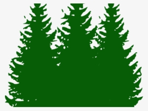 Pine Tree Clip Art