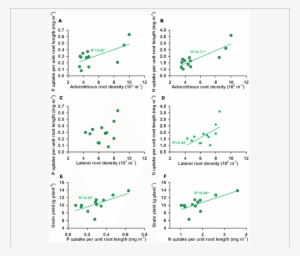 The Relationships Between A P Uptake Per Unit Root - .org