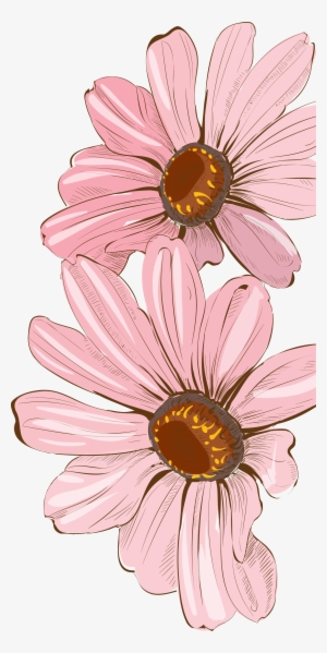 Clip Freeuse Painting Floral Design Fresh Painted Decoration - African Daisy Watercolor