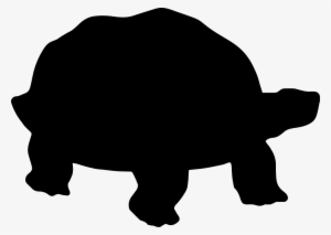 Turtle Silhouette - - Siluetas De Una Tortuga