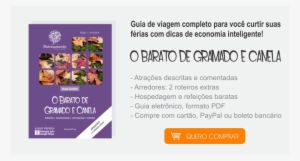 Convite Festa Princesa Sofia 02 - Viajar Para Gramado E Canela