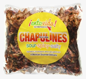 Bulk Chapulines - Chapulines | Sal Y Limon