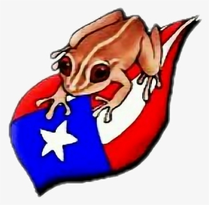 Puerto Rican Coqui Drawing