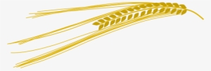Svg Royalty Free Download Barley Clip Art At Clker - Barley Clip Art
