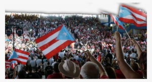Asamblea Constitucional De Estatus, Mecanismo Procesal - Crowd