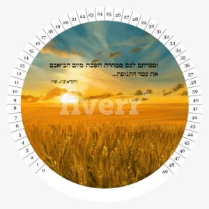 Field