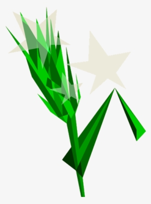 Sweet Barley - Barley