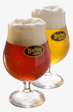 Barley Transparent Beer - Barley