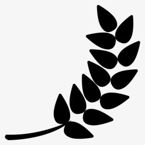Barley Png Download - Barley Free Icons