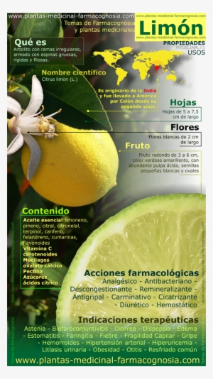 Propiedades Del Limón - Lemon Tree Medicinal Uses