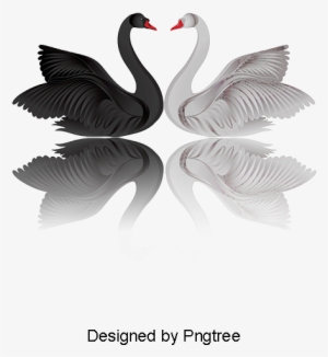 Swan, Cartoon, Swan Clipart Png Image And Clipart - Portable Network Graphics