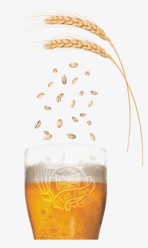 Calling All Malting Barley Growers Free Beer Enter - Beer Barley Png