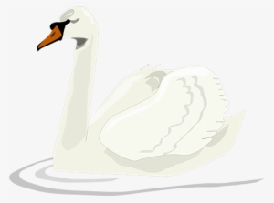 Swan Bird Swimming Beauty Animal Elegant W - Animated Swan