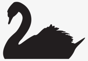 Pagelines-bsri Swan Transp - Black Swan Nights