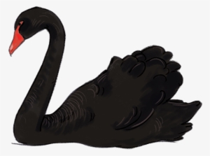 Download - Black Swan Bird Transparent