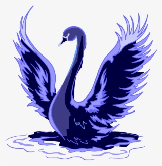 Medium Image - Transparent Swan