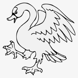 Details, Png - Duck