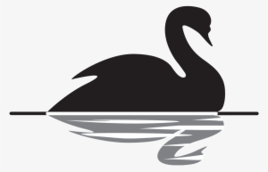 Image Black And White Library Swan Black And White - Black Swan Taleb