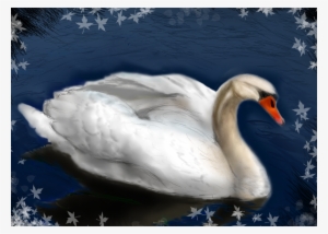 Author Comments - Black Autumn