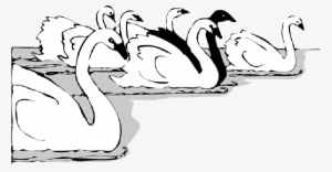 Mb Image/png - 天鹅 矢量 图