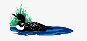 Lakefront Builders Of Maine Png Royalty Free Download - Loon Clipart