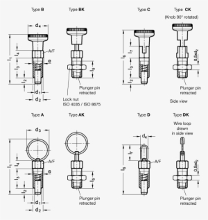 Gn 717-ni Stainless Steel - Rastbolzen