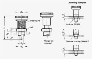 Gn 607 - 1 Steel - Indexing Plunger