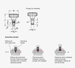 Clamping Knobs With Indexing Plungers Gn - Rastbolzen