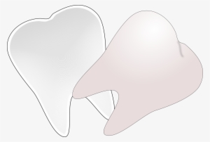 This Free Icons Png Design Of Tooth Cut In Half