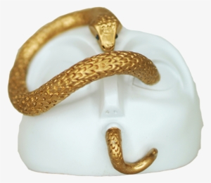 "snake Gets In Your Eyes" - Snakes