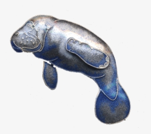 Manatee Pin