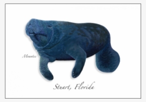 Manatee Iii - Stuffed Toy