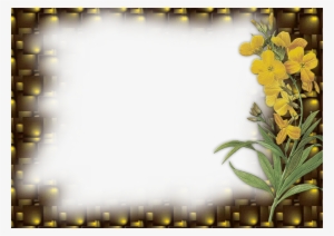 Frame-flower - Frames In Png