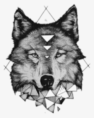 Report Abuse - Tatuajes De Lobos Dibujos