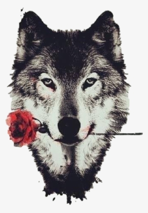 Art Wolf Rose Tumblr Teen Wolf Freetoedit - Wolf - Wild Nature Animals Art 24x18 Poster Decor
