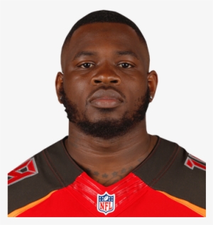 Andre Johnson Nfl Stats - Mike James Detroit Lions