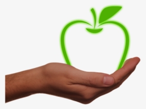 California Green Ribbon Schools Award Winners Announced - Apple Environment