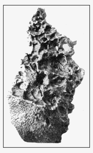 Psm V69 D031 Ngourema Meteorite Of Sudan Fell June - Mineral