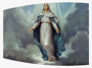 Banner Image - Mama Mary