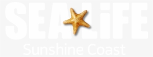 Toggle Navigation Sea Life Sunshine Coast - Minnesota Sea Life Aquarium Logo