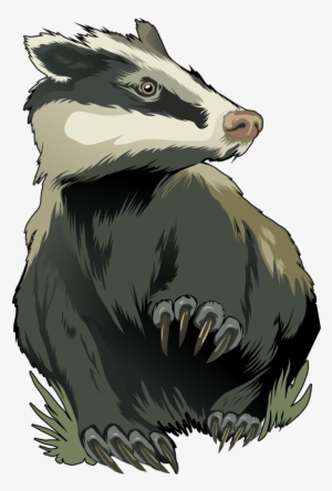 Badger Png - Badger Art