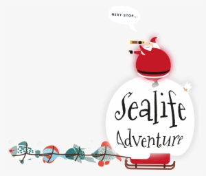 Every Day From 1st 24th December - Sea Life Christmas