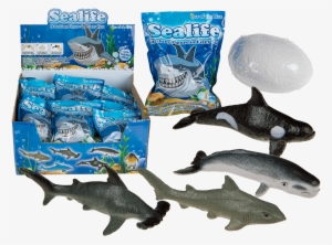 Hatch'em Growing Sealife Fizzy Egg - Sealife Hatching Toy